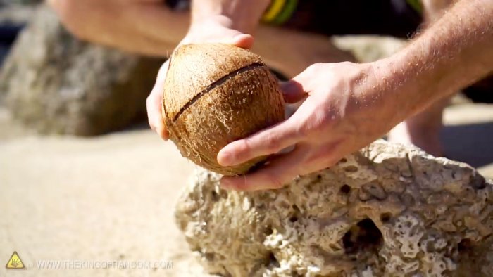 Como abrir um coco sem ferramentas