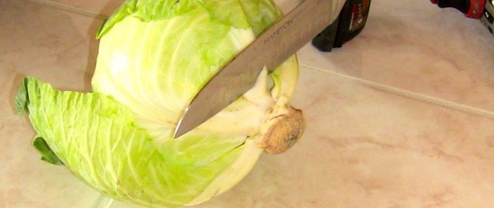 Πλέον δεν φτιάχνω ρολά λάχανου χωρίς κατσαβίδι Αντρική ζωή hack