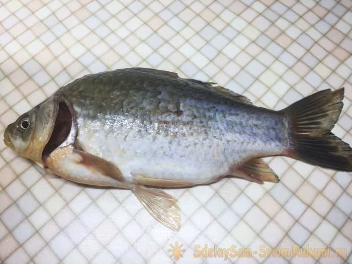 Pedaços de carpa cruciana frita em uma frigideira