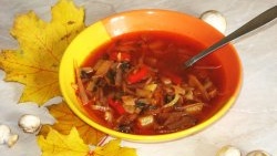 Quick, easy and tasty borscht with mushrooms without frying