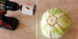 I no longer make cabbage rolls without a screwdriver. Men's life hack