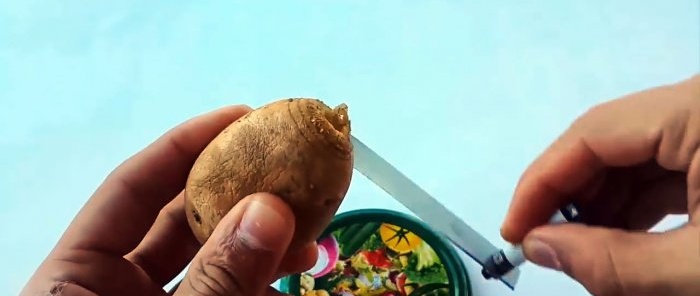 Kā pagatavot vienkāršu kartupeļu spirālveida griezēju