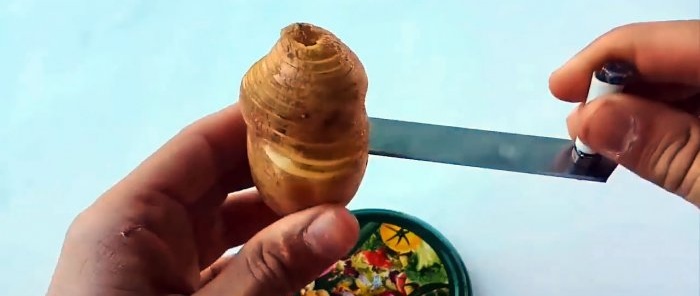 Kaip pasidaryti paprastą spiralinę bulvių pjaustyklę
