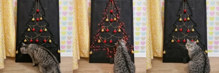Kako napraviti božićno drvce protiv mačaka