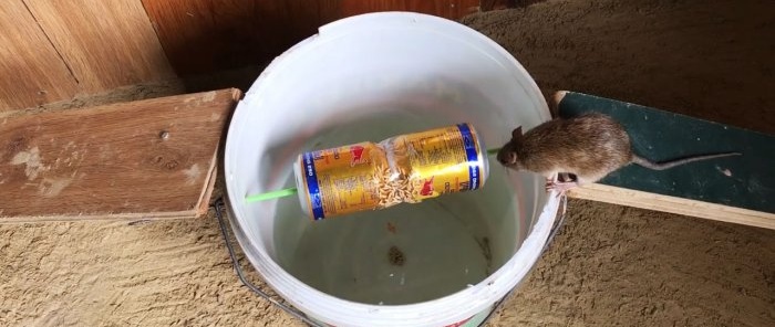 Do-it-yourself cheap reusable rodent trap