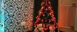 Paano gumawa ng Christmas tree na "anti-cat".