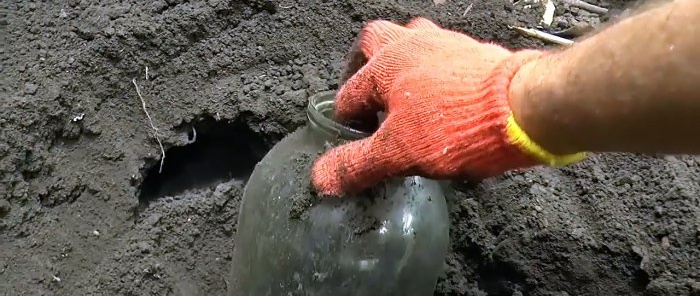 Comment attraper rapidement une taupe avec un pot