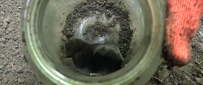 How to quickly catch a mole with a jar