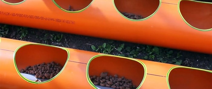 Strawberry bed made of PVC pipes with a root irrigation system