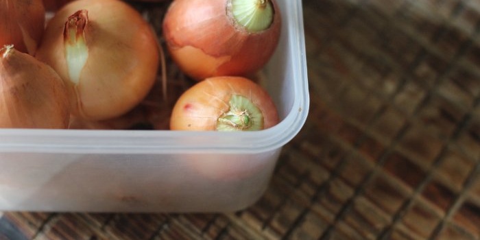 Πώς να καλλιεργήσετε πράσινα κρεμμύδια και σκόρδο σε ένα περβάζι