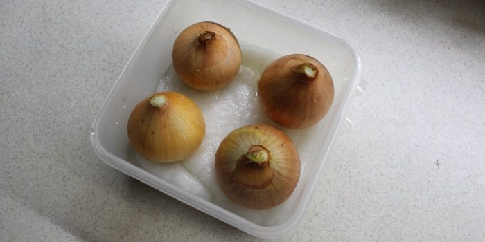 Hoe groene uien en knoflook op een vensterbank te laten groeien