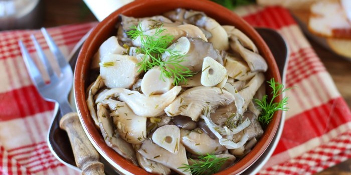 Kahanga-hangang oyster mushroom appetizer