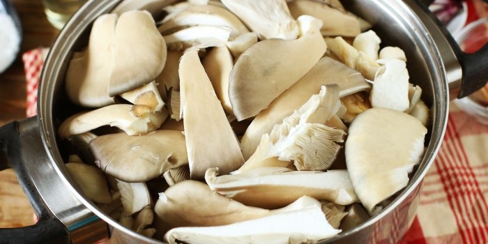 Kahanga-hangang oyster mushroom appetizer