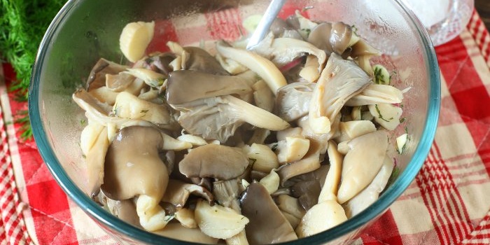 Kahanga-hangang oyster mushroom appetizer