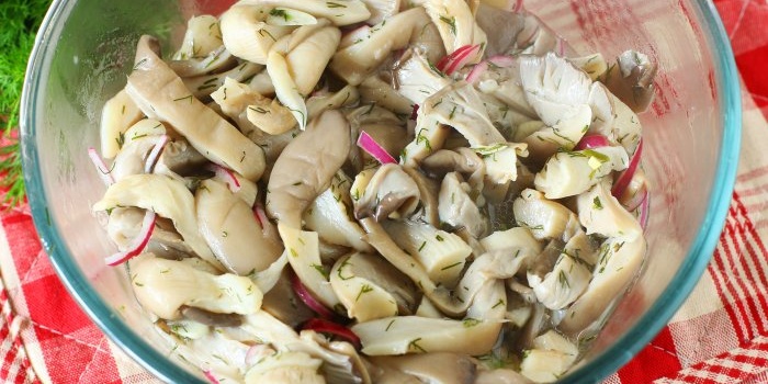 Kahanga-hangang oyster mushroom appetizer