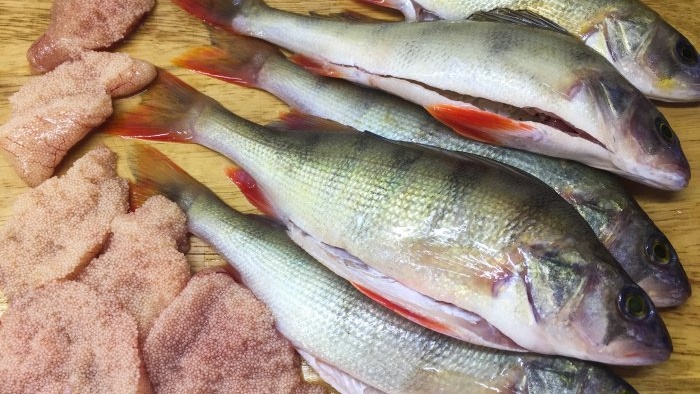 Ricetta zuppa di pesce persico con caviale