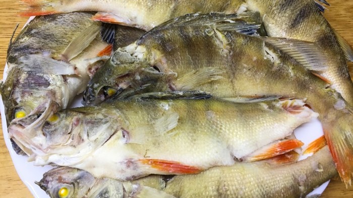 Ešerių žuvienės su ikrais receptas