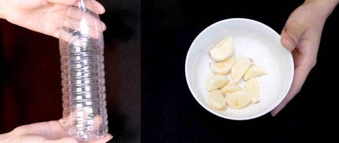 Hoe je knoflook niet alleen schilt, maar ook fijnhakt met een plastic fles