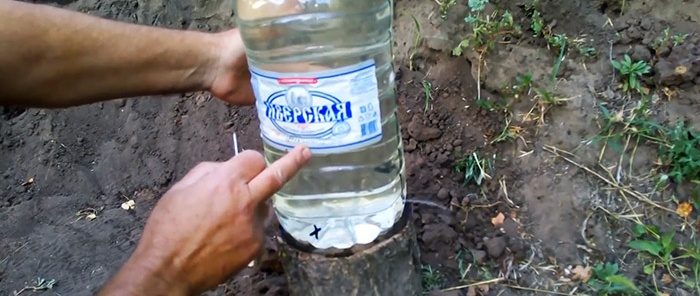 Le secret d'une bonne récolte : comment organiser l'irrigation goutte à goutte avec des bouteilles