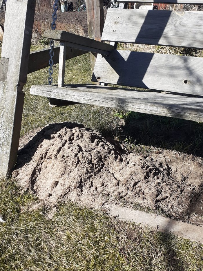 La talpa è venuta in giardino Cosa fare