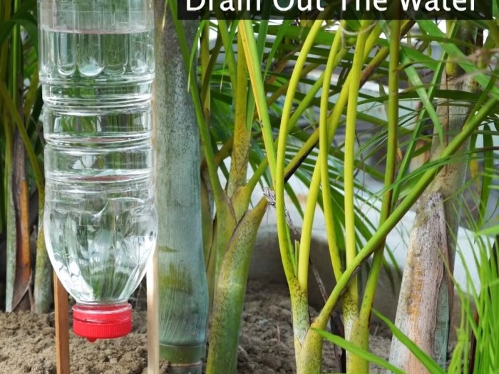 3 formas de organizar un sistema de riego de plantas durante tu ausencia