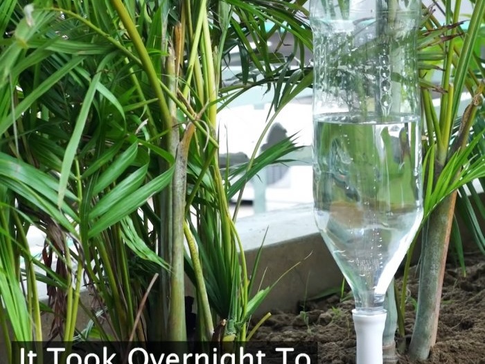 3 modi per organizzare un sistema di irrigazione delle piante durante la tua assenza