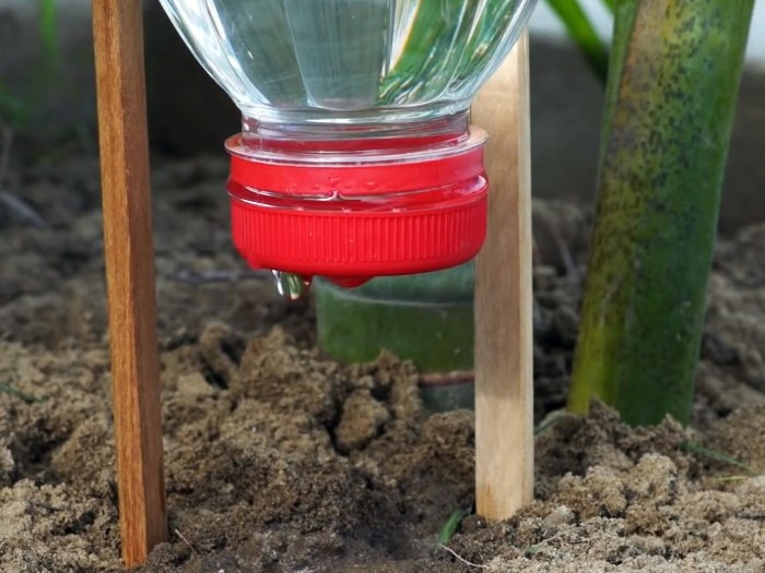 3 ways to organize a plant watering system during your absence