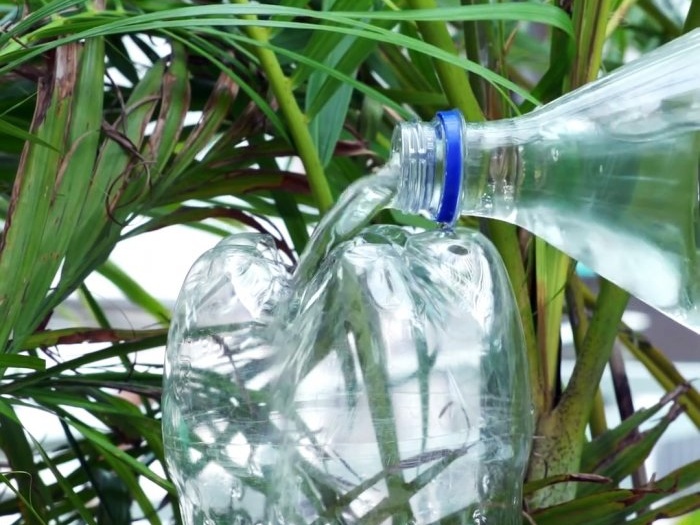 3 cara untuk mengatur sistem penyiraman tumbuhan semasa ketiadaan anda