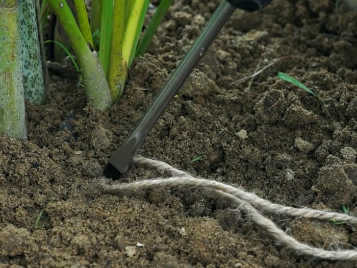3 modi per organizzare un sistema di irrigazione delle piante durante la tua assenza