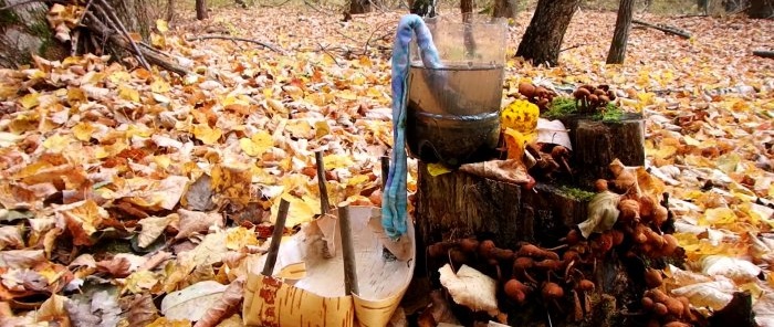 Come purificare e disinfettare l'acqua nella foresta senza pentola o fiaschetta
