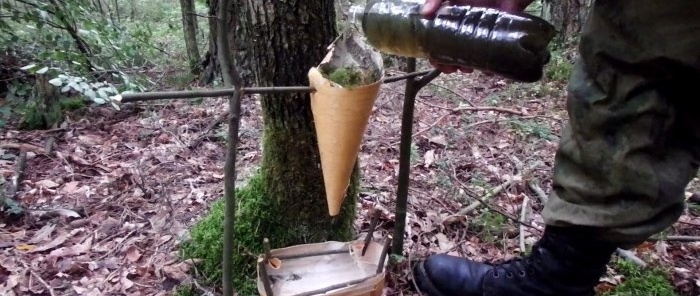 Come purificare e disinfettare l'acqua nella foresta senza pentola o fiaschetta