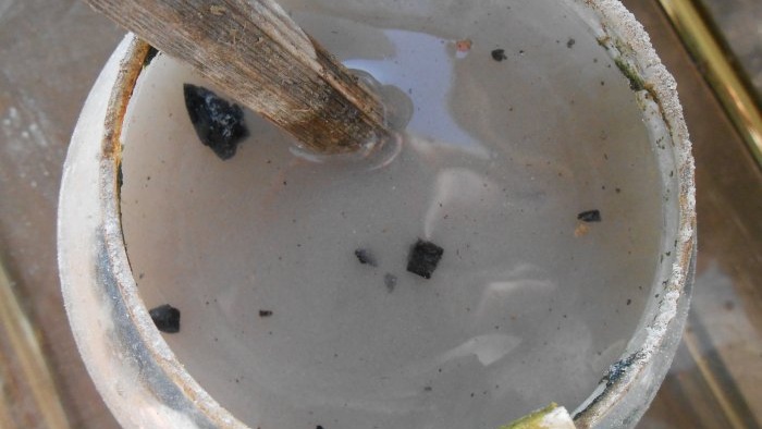 Nucení cibule do zeleně doma ve vodě a půdním substrátu - všechny jemnosti a nuance
