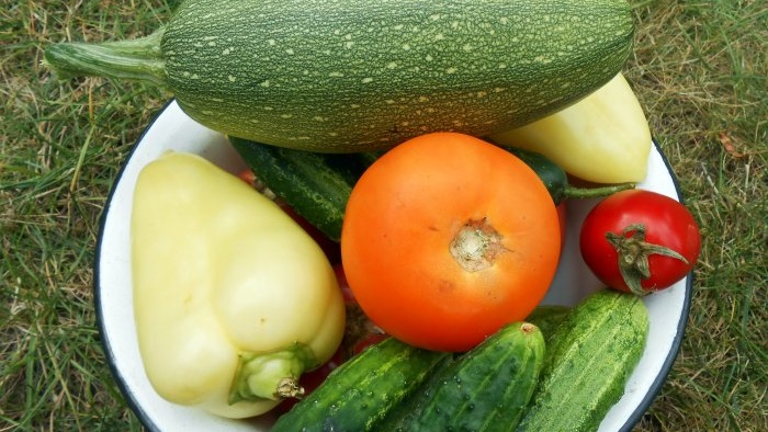 Domates ve diğer sebzelerin verimini ve şeker içeriğini artıracak bedava gübre