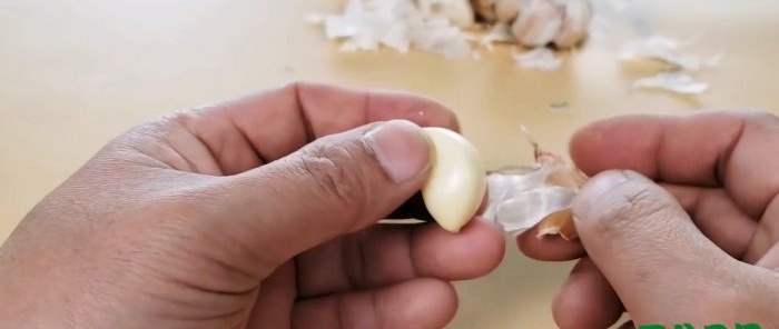Peeling garlic cloves with bare hands quickly and without a knife