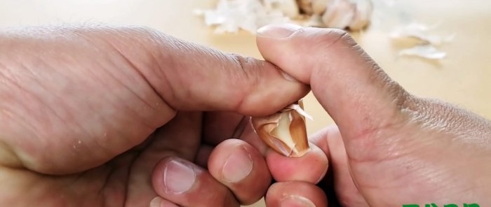 Peeling garlic cloves with bare hands quickly and without a knife