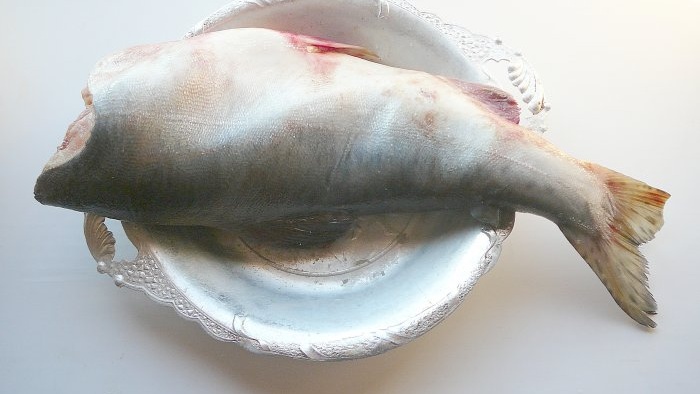 Najukusnije jelo od ružičastog lososa - jednostavan i provjeren recept za soljenje lososa