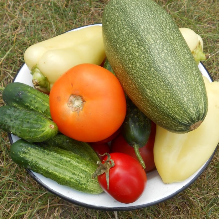 تعفن الزهرة للخضروات - تغذية بسيطة للوقاية والعلاج