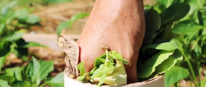 Cum să faci viermi de compost să funcționeze pentru tine Realizarea unui turn de vermicompostare pentru paturile de grădină