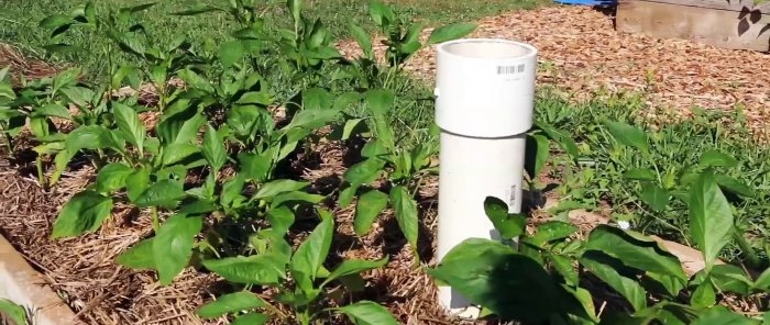 Comment faire fonctionner les vers de compost pour vous Fabriquer une tour de lombricompostage pour les plates-bandes