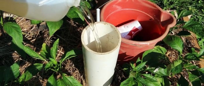 Cómo hacer que las lombrices de abono trabajen para usted Cómo hacer una torre de vermicompostaje para parterres de jardín