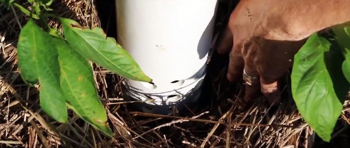 Kung paano gumawa ng compost worm na gumagana para sa iyo Paggawa ng vermicomposting tower para sa mga kama sa hardin