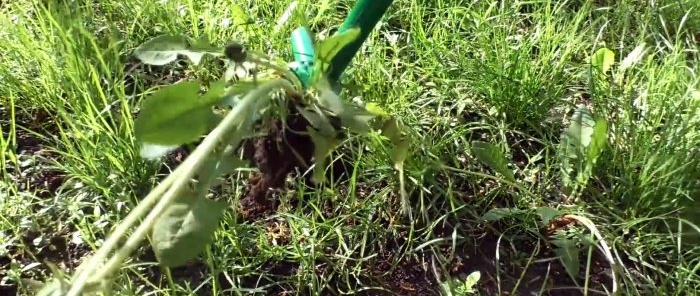 Comment fabriquer un appareil pour éliminer les mauvaises herbes par la racine