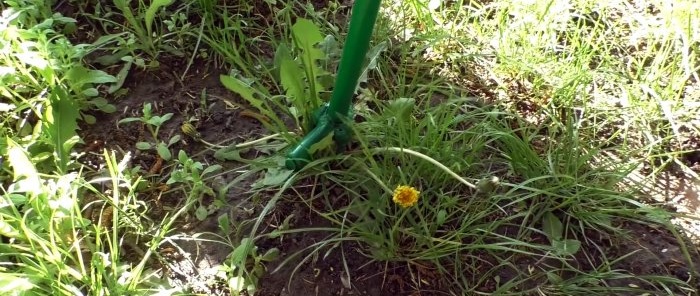 Com fer un dispositiu per eliminar les males herbes per l'arrel