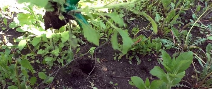 Comment fabriquer un appareil pour éliminer les mauvaises herbes par la racine