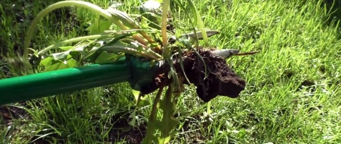 Com fer un dispositiu per eliminar les males herbes per l'arrel