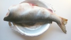 Najukusnije jelo od ružičastog lososa: jednostavan i provjeren recept za slani losos