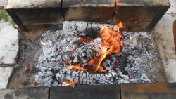 Como aproveitar bem as cinzas após um incêndio na sua casa de verão?