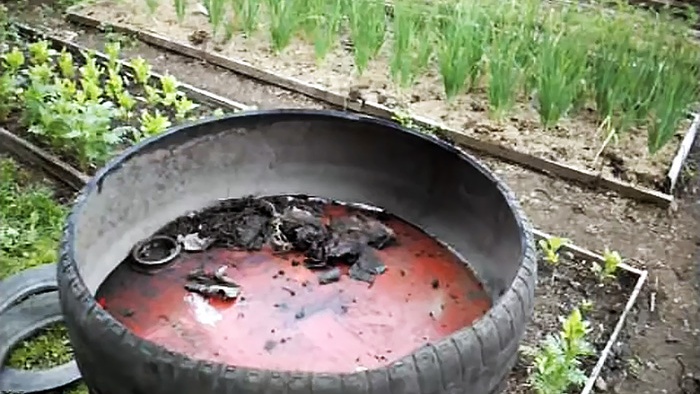 Cách sử dụng lốp ô tô trong vườn