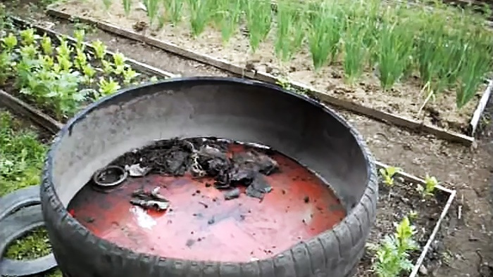 Cómo utilizar neumáticos de coche en el jardín.