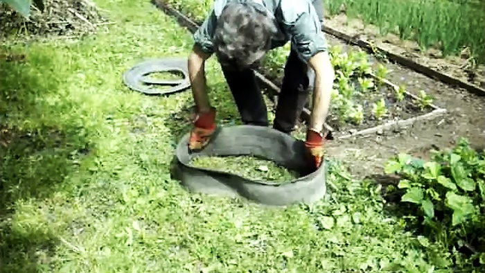 Cómo utilizar neumáticos de coche en el jardín.